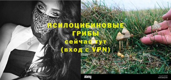 твердый Надым
