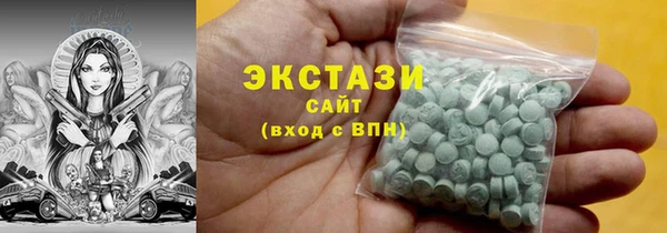соль ск Дмитриев