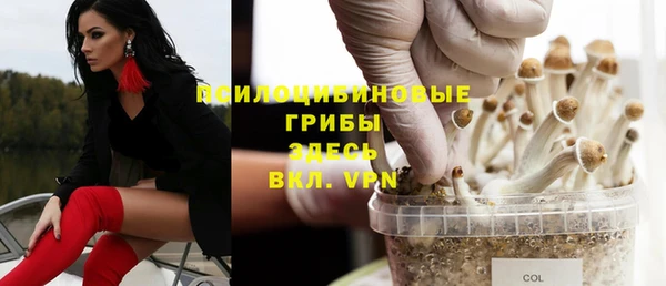гашик Покров