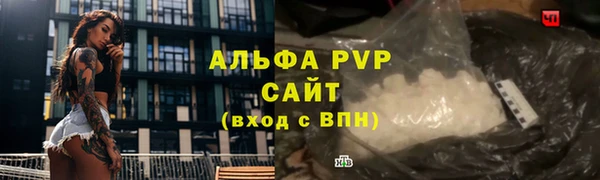 соль ск Дмитриев