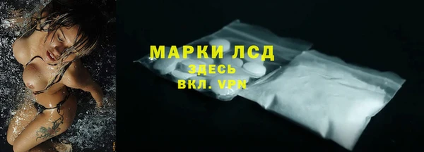 соль ск Дмитриев