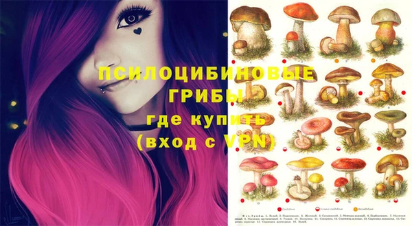 прущие грибы Кстово