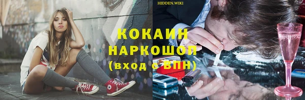 соль ск Дмитриев
