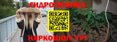 трава Гусиноозёрск