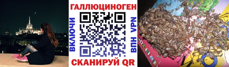 Псилоцибиновые грибы Magic Shrooms  Рузаевка 