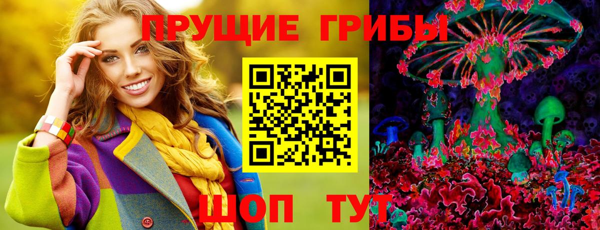 Псилоцибиновые грибы мицелий Рузаевка