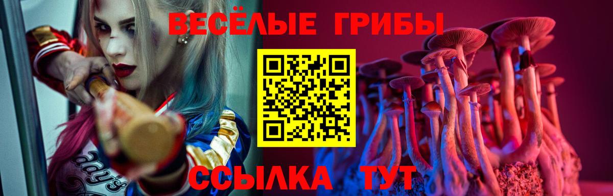 Псилоцибиновые грибы прущие грибы  Вход с VPN  Рузаевка 